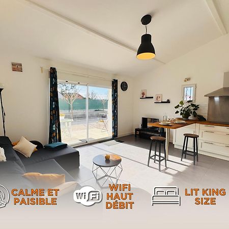 Appartement Le Cosy De La Ramee Tournefeuille Exteriér fotografie