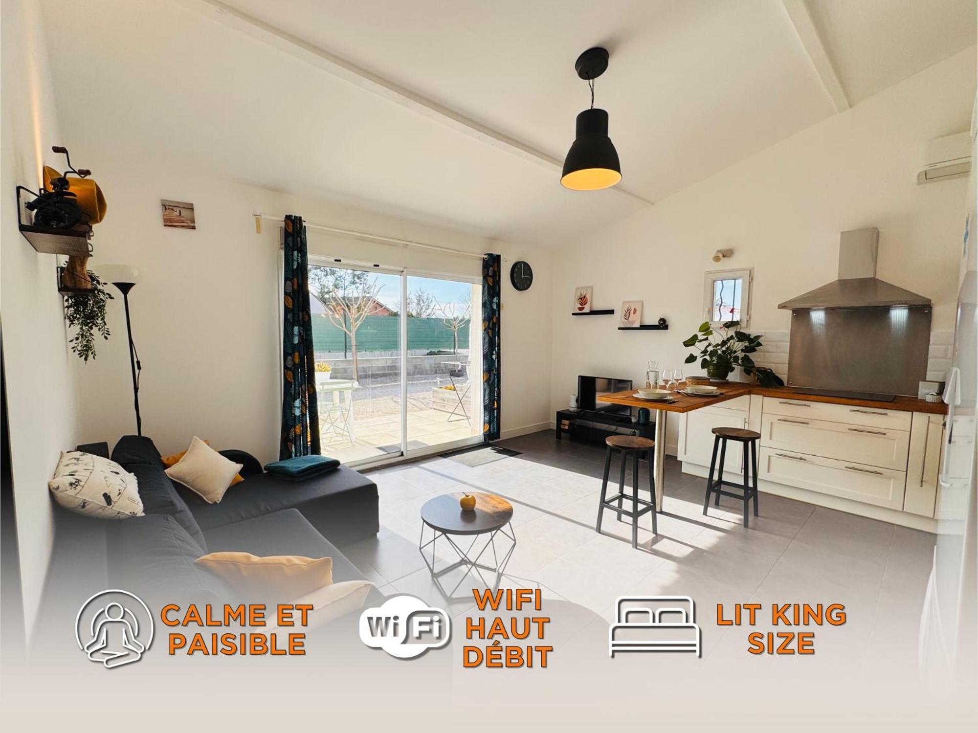 Appartement Le Cosy De La Ramee Tournefeuille Exteriér fotografie
